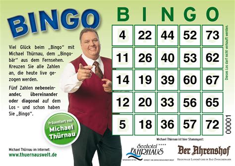 bingo los gewinnchance